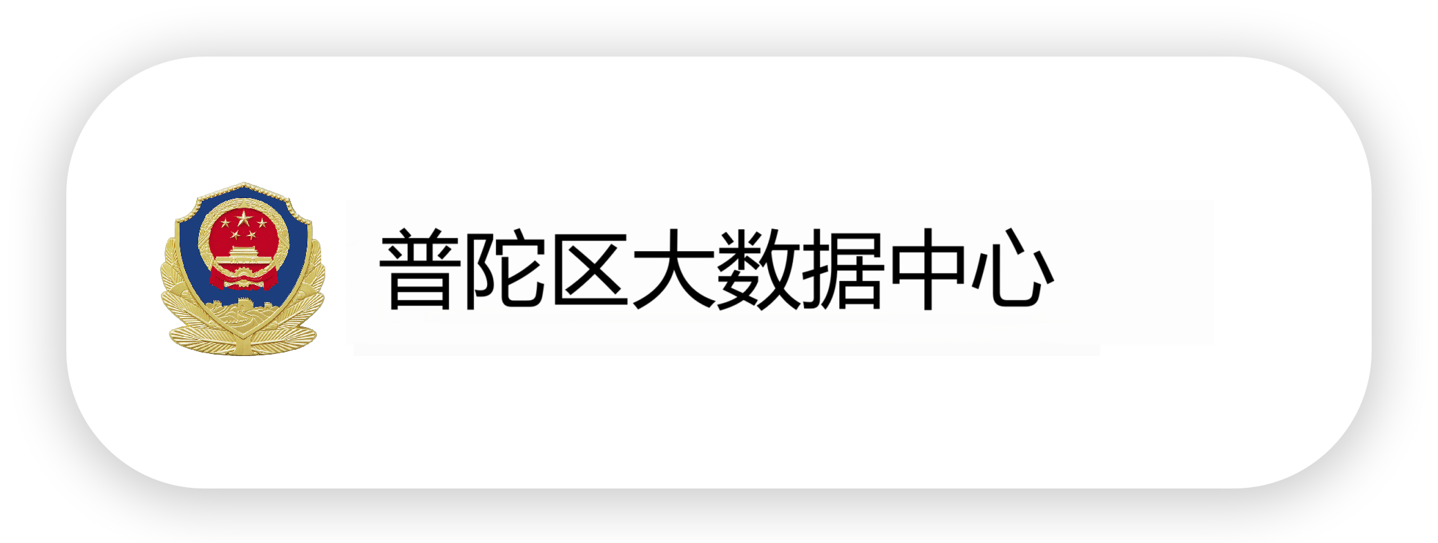 普陀区大数据中心-iefp.png
