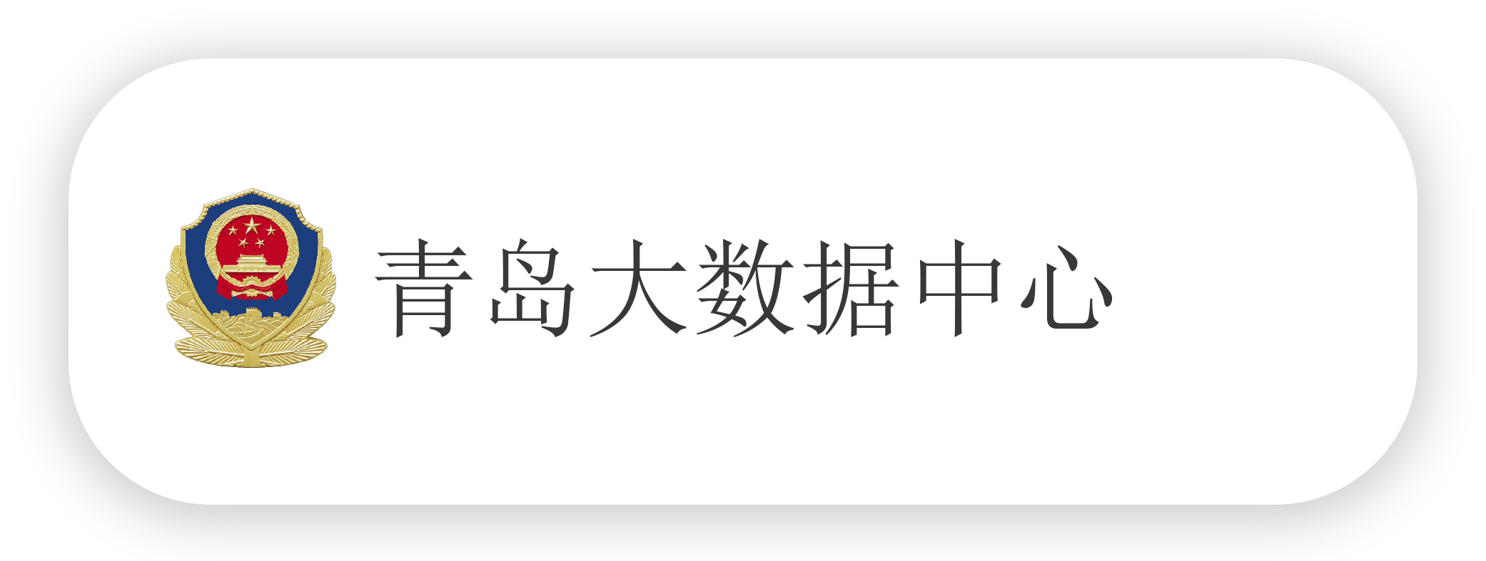青岛市大数据中心-qajb.png